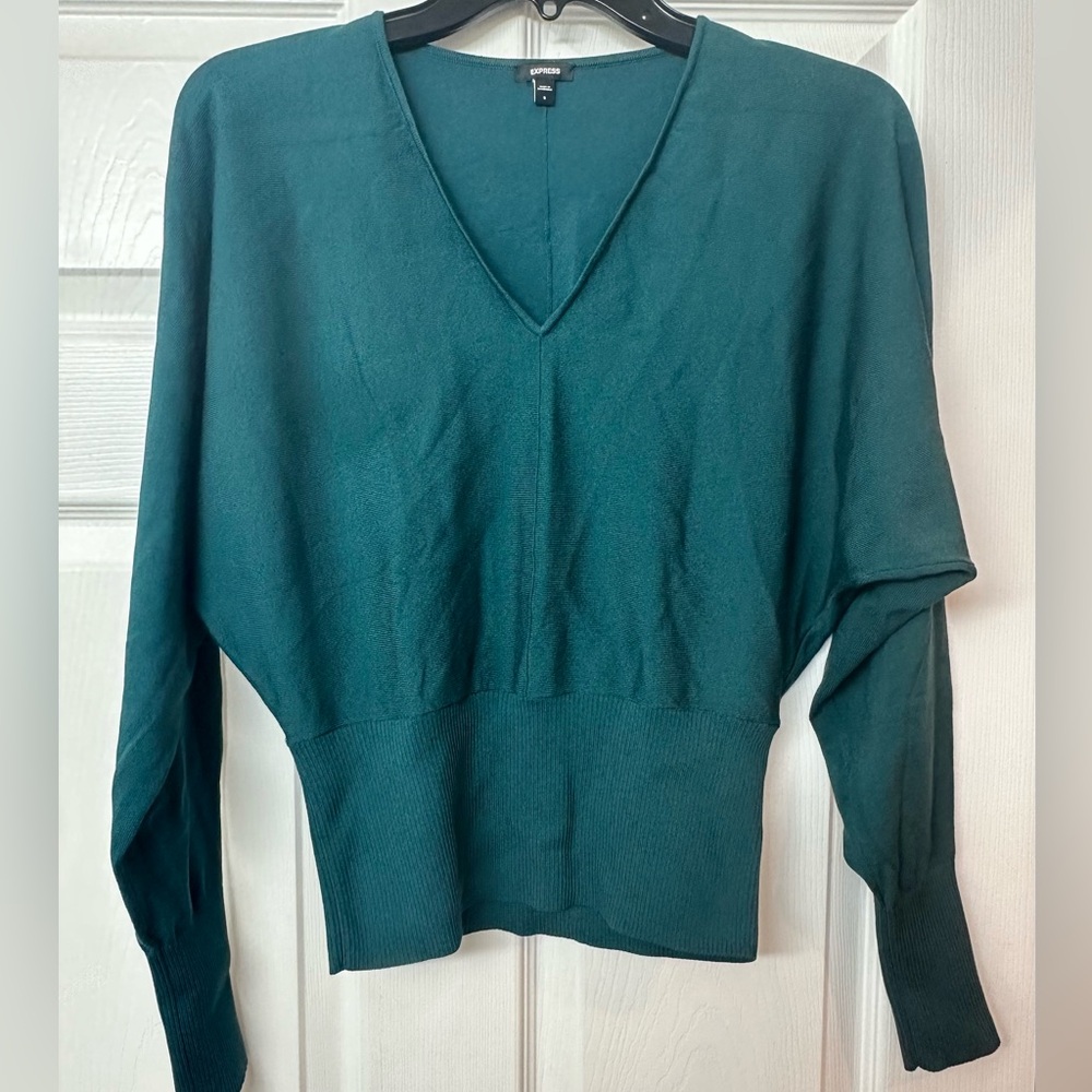Express vneck sweater - size small